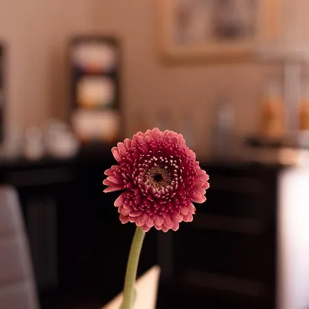 Kleine Ritz